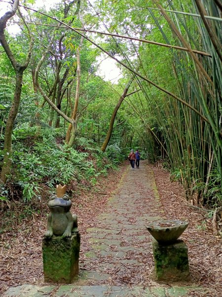 《親子同遊翠山步道→小溪頭環狀步道→大崙頭尾山步道》,【小百岳集起來】#008 大崙頭山 H476m1697506