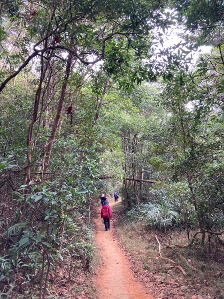 火炎山登山步道2386045