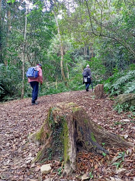 四訪苗栗的花果山-小百岳#037馬那邦山、雪霸國家公園管理處【小百岳集起來、苗栗-臺灣百大必訪步道】2394325