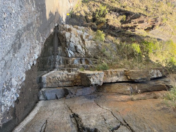 20250130 北港溪峽谷步道2702939