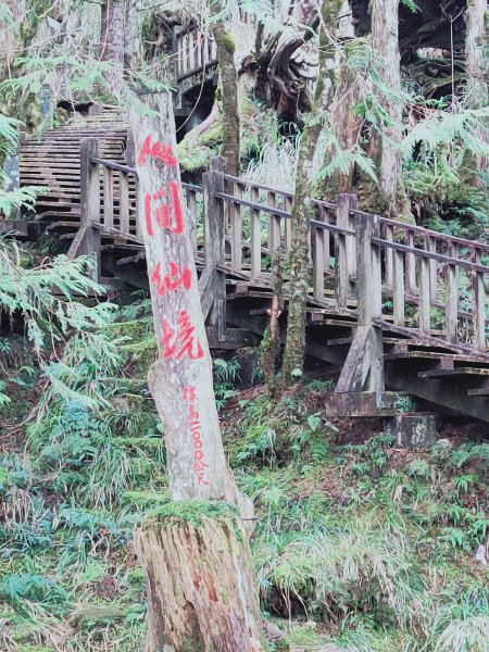 太平山檜木原始林步道1293025