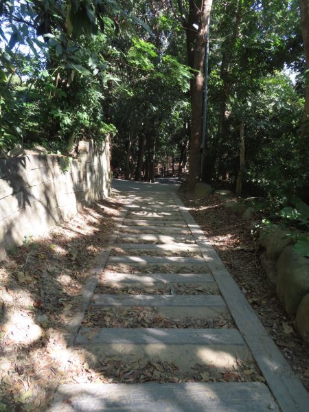 彰化桃源里森林步道+龍鳳谷森林步道2696099