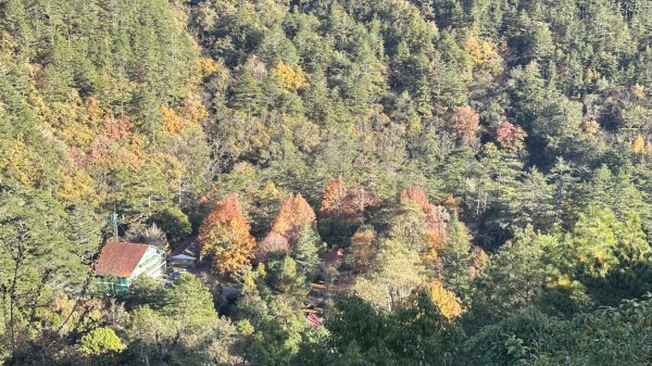 馬武霸下武陵2962387