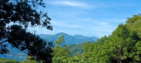 東穗+魯壁山 O型-2023/06/24