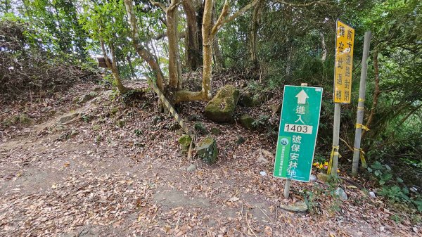 暗影山三進三出2366544