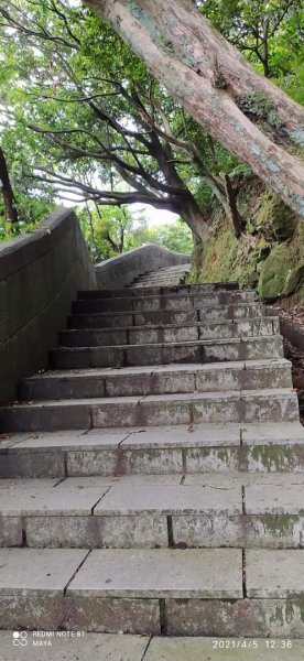 基隆山步道-交通便利、有山有水、逛老街、吃芋圓1335361