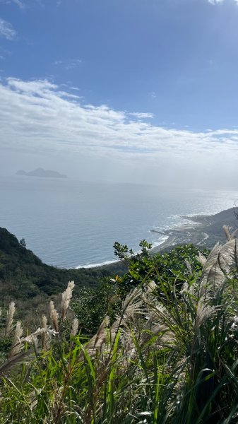 2025草嶺古道2970597