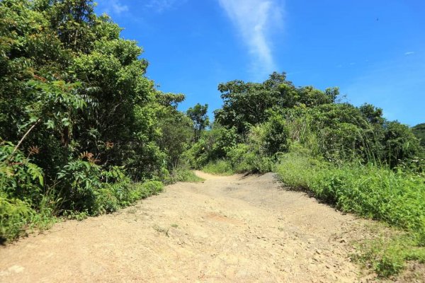 〔石碇〕鱷魚島🐊🐊🐊，晴空萬里下的萌萌淡碇鱷   最美。石碇 千島湖 土虱頭  永安景觀步道2213351