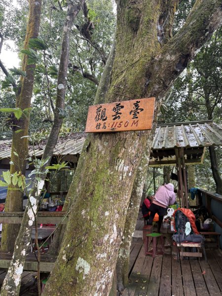 20251227尾寮山登山步道2970526