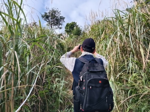 頭城鎮圓通寺+鴻子山東北峰+鴻子山+後湖子山林道+五峰旗山+840峰+水鴨池+水鴨崙+圓通寺O型2983773