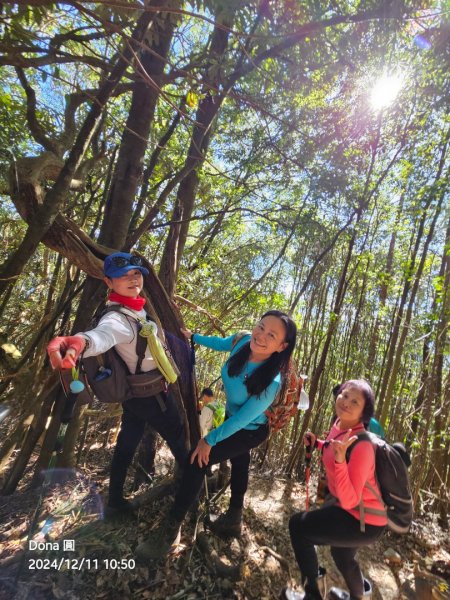 【谷關七雄】屋我尾山(H1796m)＆屋我尾山北峰(H1784m)熱身行2670241