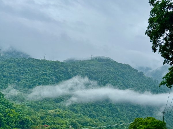 雨下的白毛山步道與白鹿吊橋2805310
