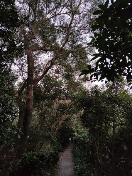 2023.12.08 南勢角山2695834