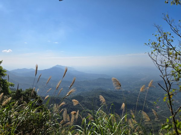 九龍山連走大凍山2955723