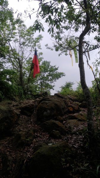 大艽芎古道-溪洲山-頭寮山577970