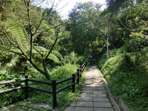 姜子寮山．泰安瀑布．鐵道公園105794