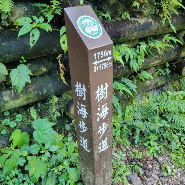 藤枝國家森林遊樂區（小百岳）2291814