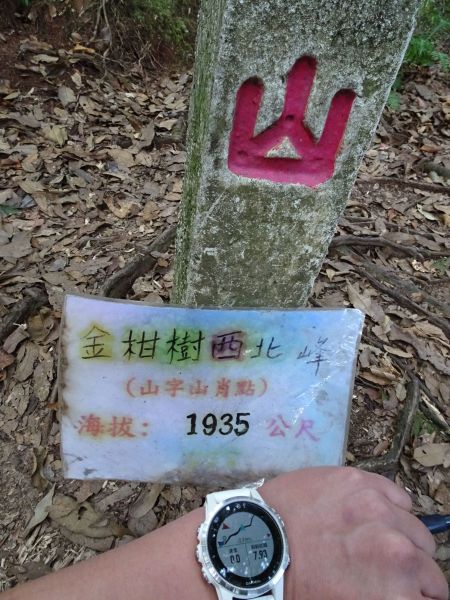 台灣小百岳第54座-南投鹿谷金柑樹山217578