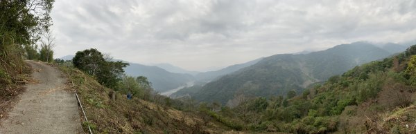 20250129高雄塔羅留山-塔羅留山南峰-他果晏山2705279