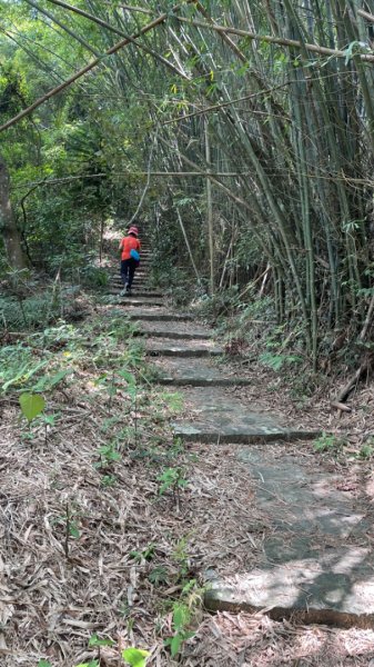 挑水壢古道2605774