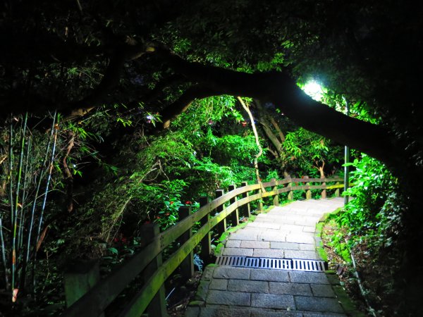 百萬夜景步道-南港山親山步道487435