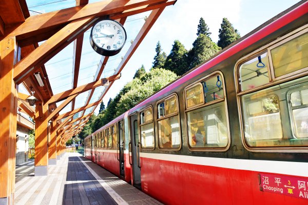 20221018公車旅人阿里山手扎:1141898