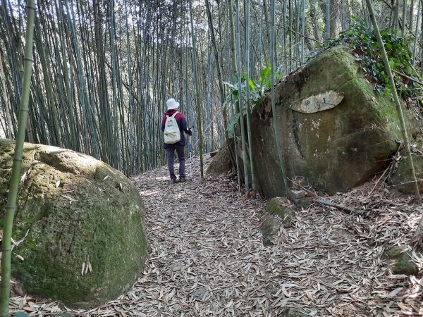 《南投》八通關古道（社寮線蜈蚣崙段）O型202101171239151