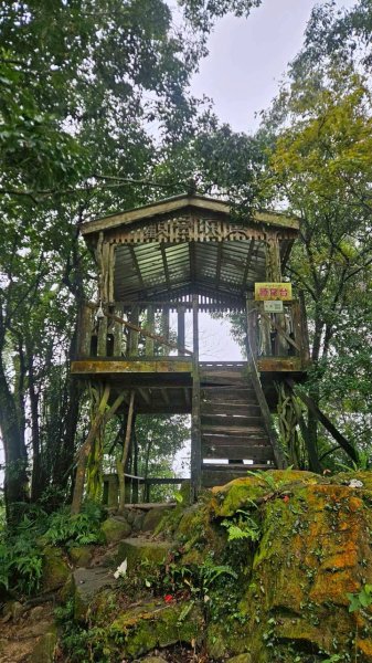 20260328赤玉o型3029888