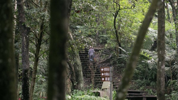 北港二坑-翠湖-內溝山-油桐嶺-老鷲尖山-老鷲尖南峰-學頭坡山 O型2232068