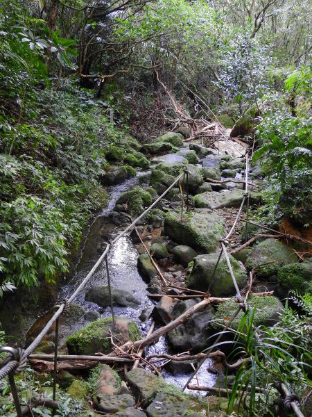 孝子山步道連走東勢格越嶺古道197028