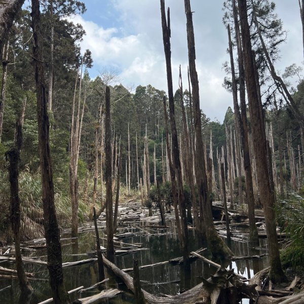 小百岳-金柑樹山2717261