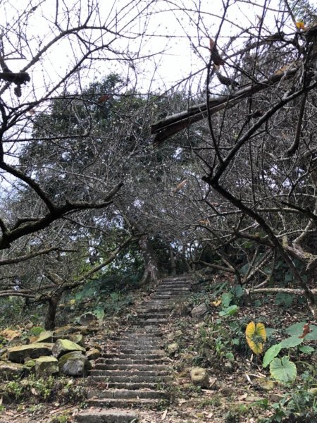 烏山步道北段入口雲山寺走刣牛湖山往返507929