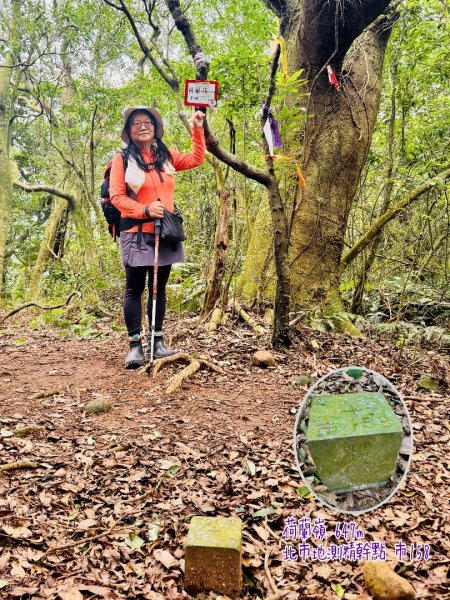 登峰古圳訪高頂山 北五指山 出荷蘭古道 快閃聖人瀑布2982337