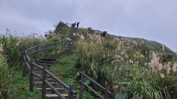 2021-1230 百二崁、燦光寮、貂山古道、地質公園步道O型1565522