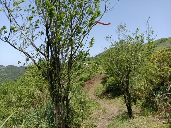 雙溪區不厭亭+牡丹山+樹梅坪+鷹石岩山神廟+不厭亭+奉憲示禁碑+三貂崙+不厭亭8字走2766326