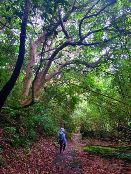 圓山水神社，北投真言宗石窟建築群，台灣幸福石，紗帽山，陽明湖，林口新寮步道，老公崎步道，仁愛路觀景台1716017