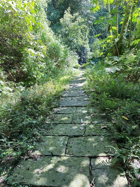 獅山古道走一遭獅頭到獅尾2564164