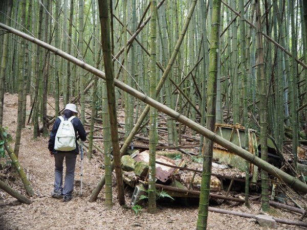 台中鳶嘴西稜上長壽山1860峰2019539442
