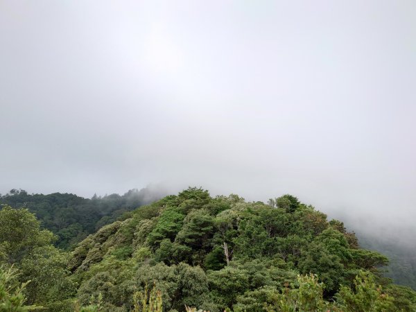  步道巡訪員 l 北得拉曼步道6月巡訪日誌1016101