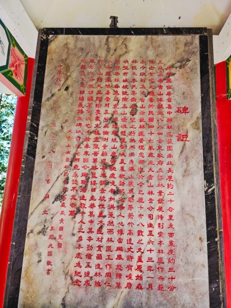 大雪山神木步道2962654