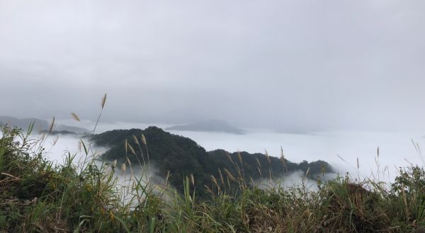 2017/12/8馬那邦山221557