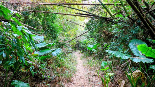 大崗山,盤龍峽谷2954517