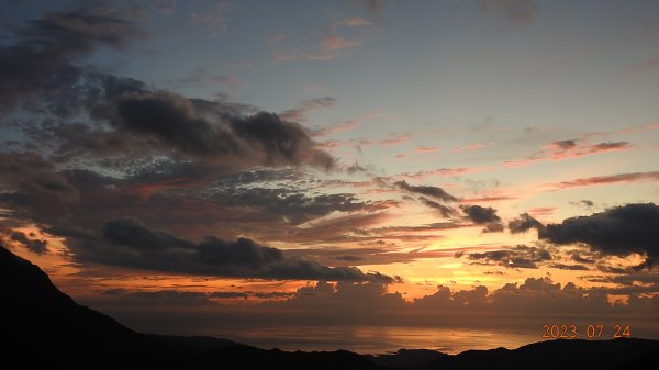 雲山水花鳥蝶-天龍國阿伯的日常7/242229442