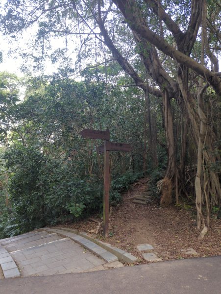 2026.02.08－十八尖山2999389