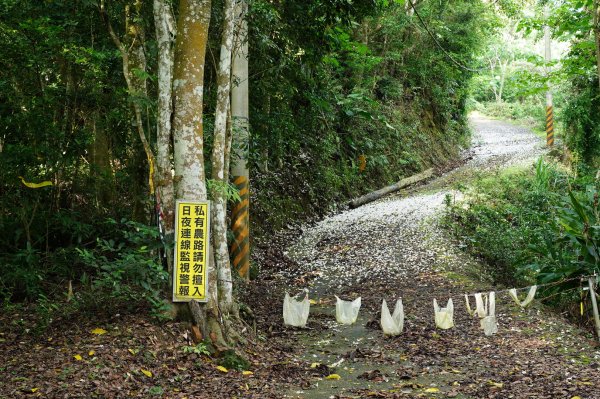 新竹 北埔 五分寮頂山、大南坑山、焿寮坪山、內大坪山2489181