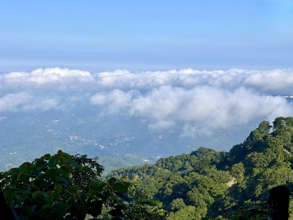 大坑4號上頭嵙山 3號3-1號O繞下山 202609133118735