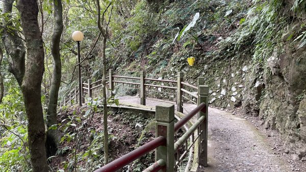 聖母登山步道（抹茶山）2458353