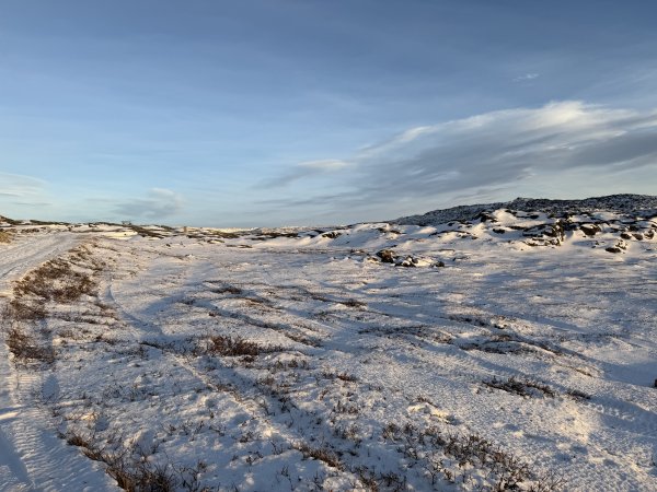 [紐約馬之行-34] 2025_1106 山頂微波站2948007