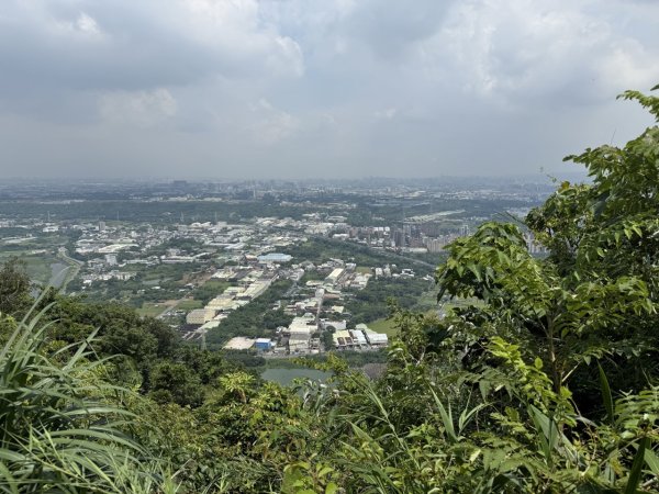 2025/06/26 鳶山 鳶山彩壁 鳶尾山3038645