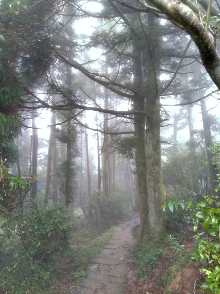 陽明山東段754241